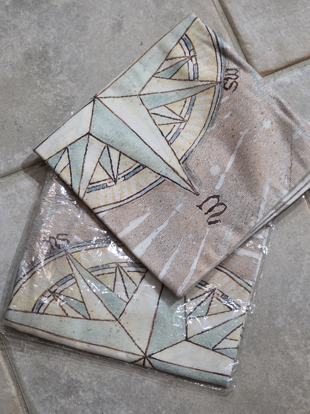 Compass Print Decorative Throw Pillow Cover Set Of 2 — Soft Aqua & Beige